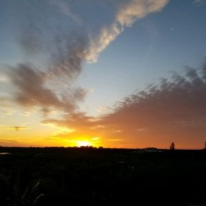 Meet your Posher, Elaine